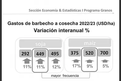 Soja y maíz: publican la variación de costos
