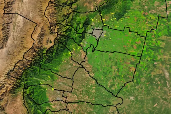 Citricultura: en la próxima campaña habrá casi un 10% menos de hectáreas