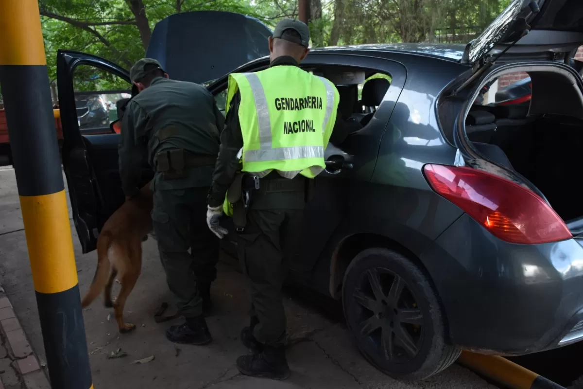 Detectan marihuana en falsas plantillas de zapatillas