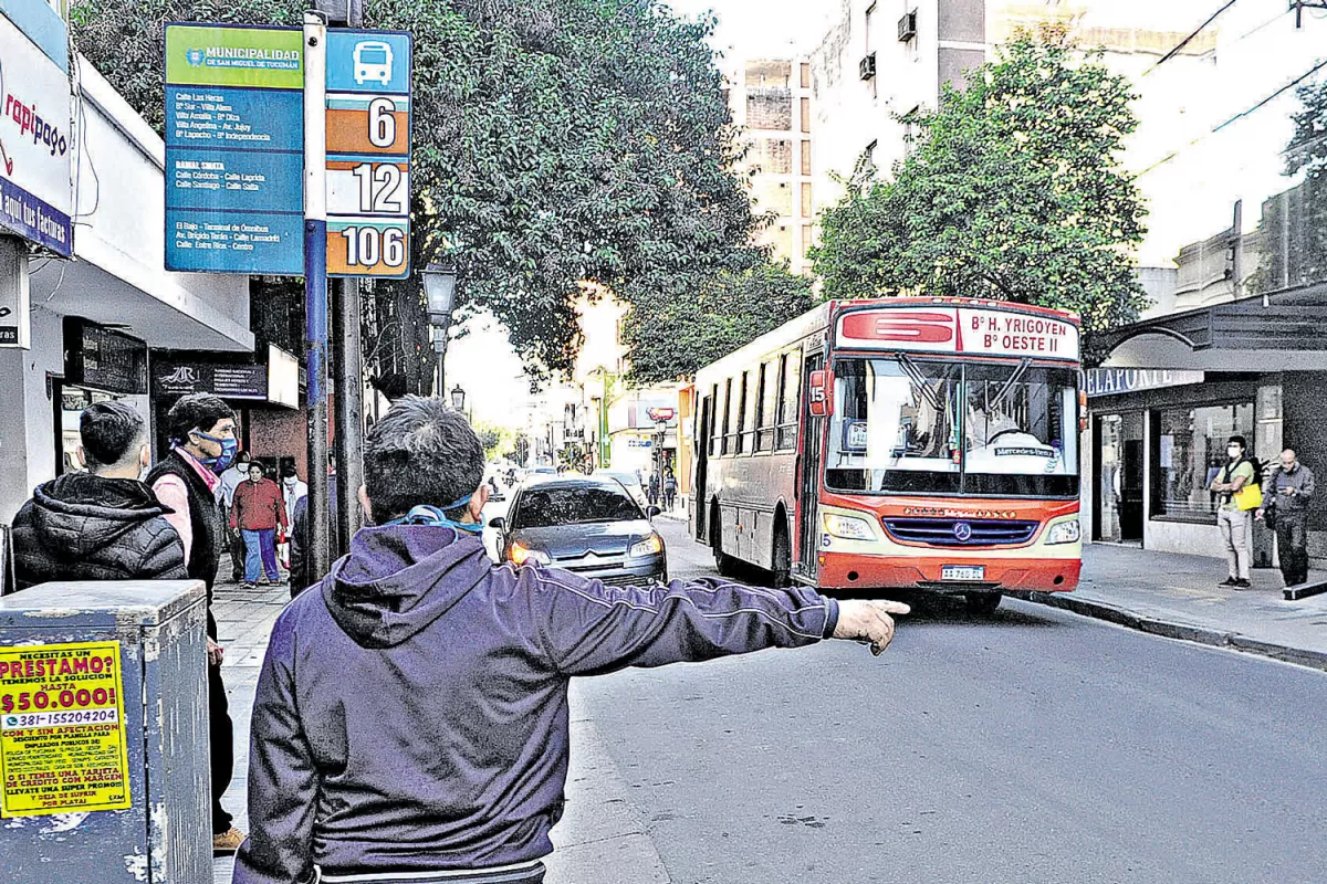 ¿Cómo funcionarán los servicios hoy y mañana?