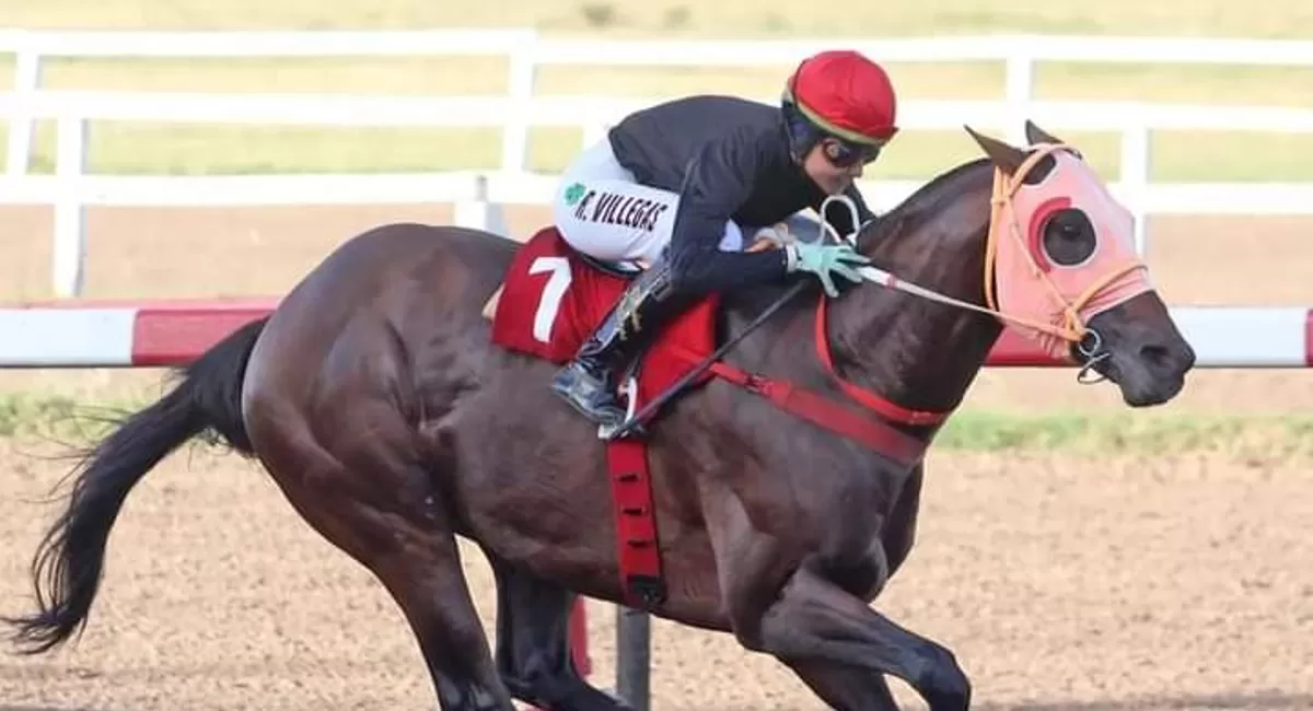 GRAN PRESENTE. Villegas terminó el año con 43 triunfos y superó los éxitos conseguidos en 2021.