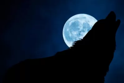 Luna de Lobo: qué es y cuándo se podrá ver la primera luna llena de 2023
