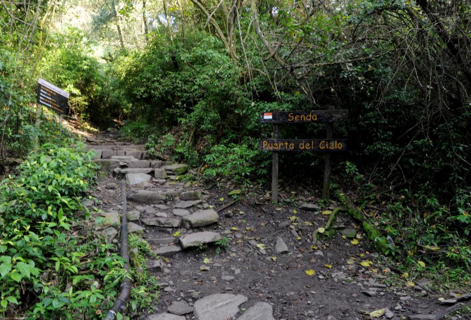 ATRACCIÓN. Las sendas del cerro son muy elegidas por los turistas. LA GACETA / FOTO DE franco vera