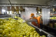 Polémica por el bono extraordinario a empleados rurales