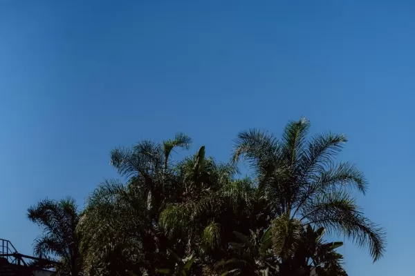 Un lugar de relax en la ciudad