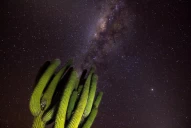 Astroturismo en Tucumán: El Valle Calchaquí invita a descubrir cielos estrellados y a vivir su cultura ancestral