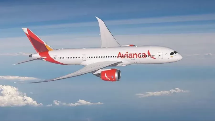 El macabro hallazgo en el tren de aterrizaje de un avión de Avianca