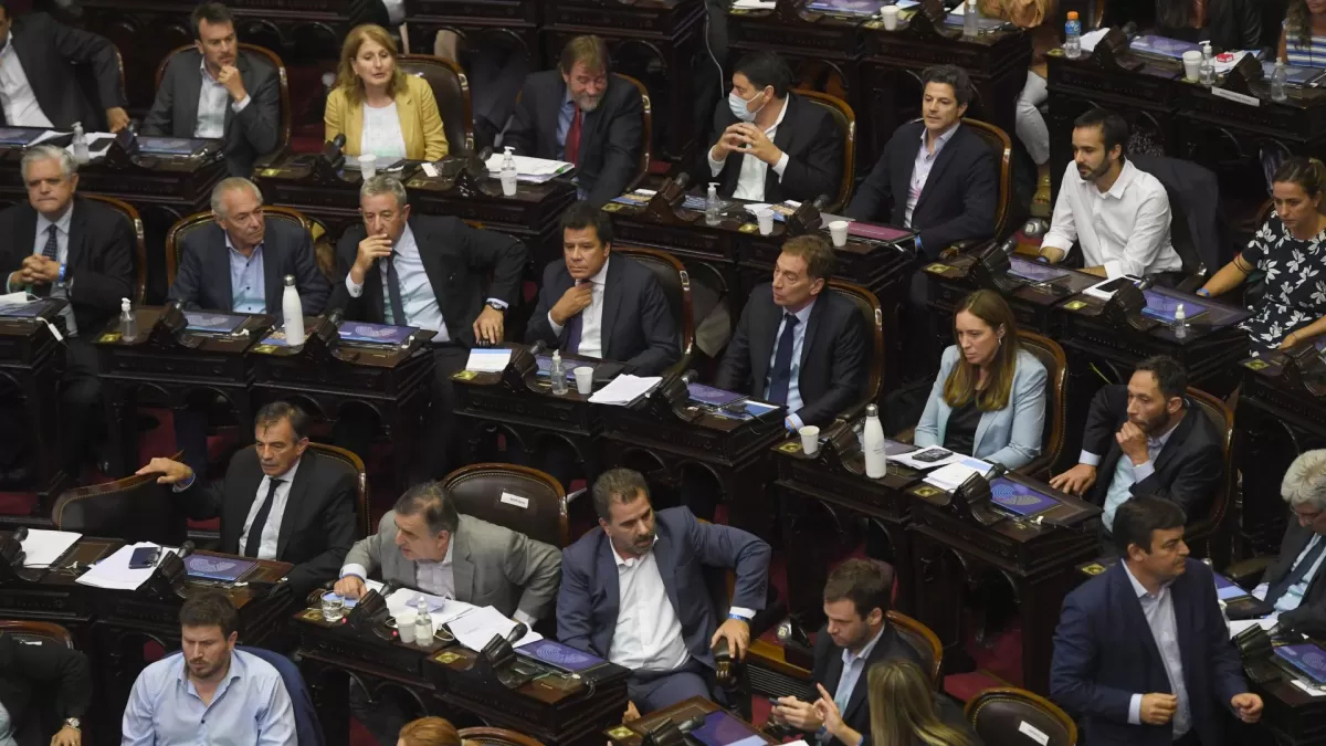 Oposición en la Cámara de Diputados