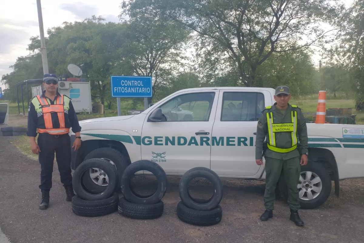 Operativo Lapacho: qué secuestraron las fuerzas de seguridad en las rutas de Tucumán