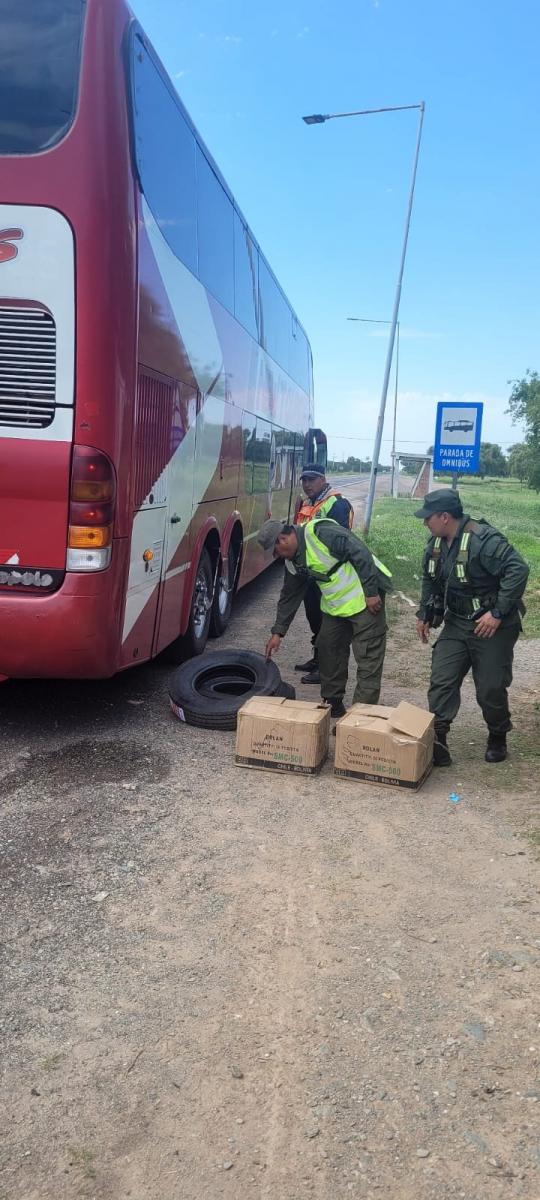 Operativo Lapacho: qué secuestraron las fuerzas de seguridad en las rutas de Tucumán