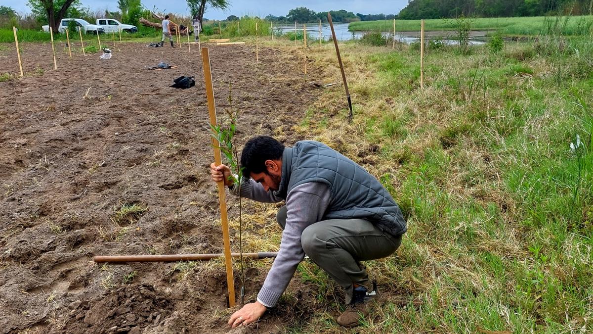 Buscan restaurar ecosistemas de ribera en la cuenca productiva del río Balderrama