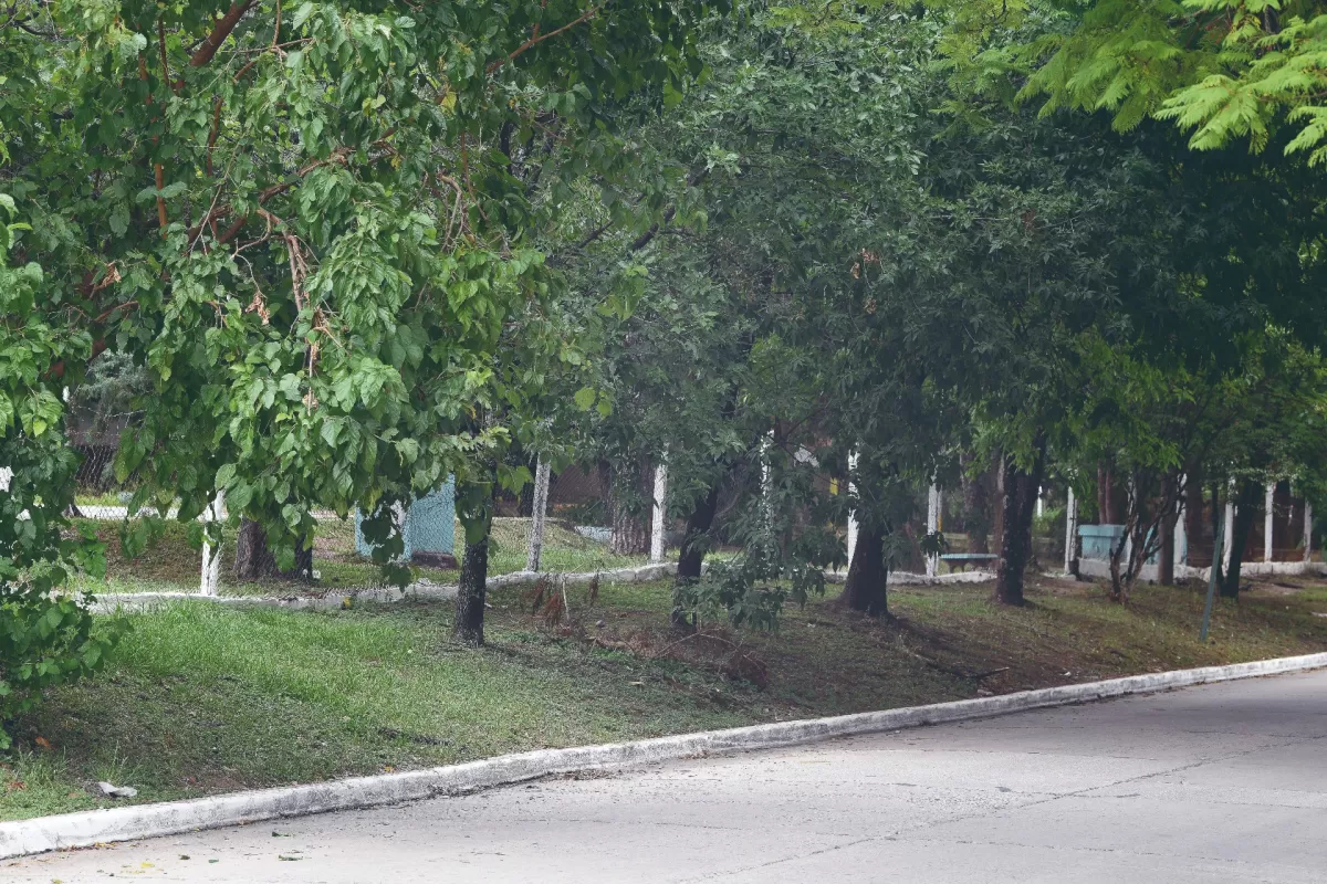 En febrero harían más veredas en Yerba Buena