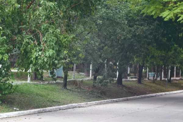 En febrero harían más veredas en Yerba Buena
