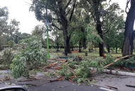 Tormenta en Tucumán, el día después: No tenemos zonas inundadas ni evacuados”, dijo Defensa Civil
