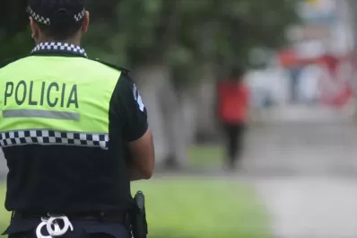 Secuestraron armas, drogas y ocho aves autóctonas en una serie de allanamientos