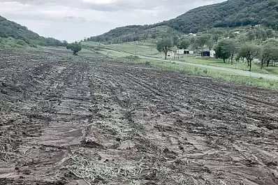 El temporal se ensañó con la verdura de Raco
