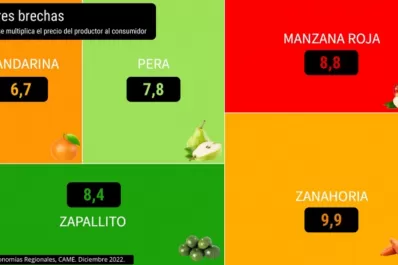 En diciembre, se registró una brecha de precios entre campo y góndola de 3,4 veces