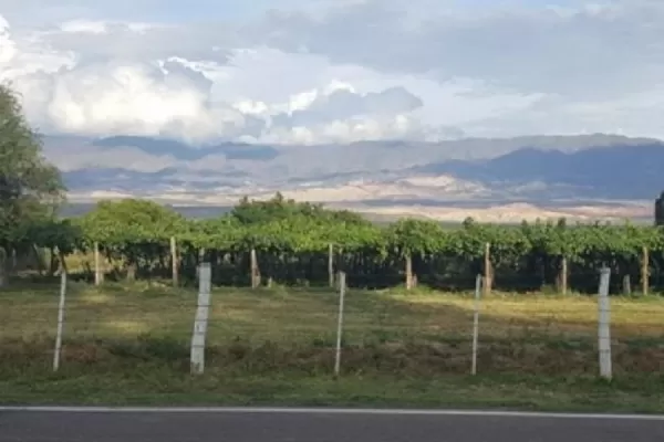 Productores de los Valles Calchaquíes comenzaron a percibir la ayuda económica del Gobierno Provincial