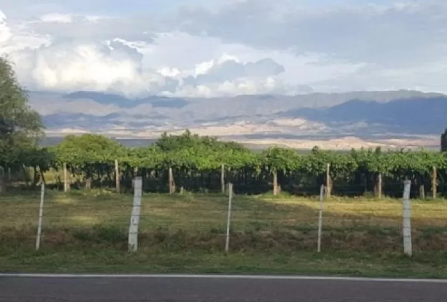 Productores de los Valles Calchaquíes comenzaron a percibir la ayuda económica del Gobierno Provincial