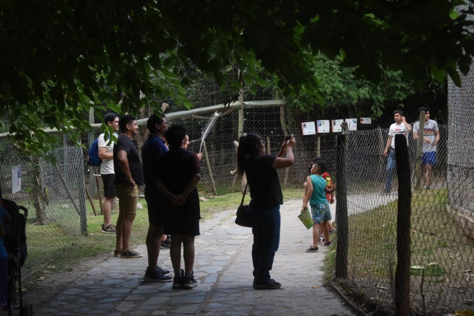 CONCURRIDO. Muchas familias se trasladan para ver los animales. 