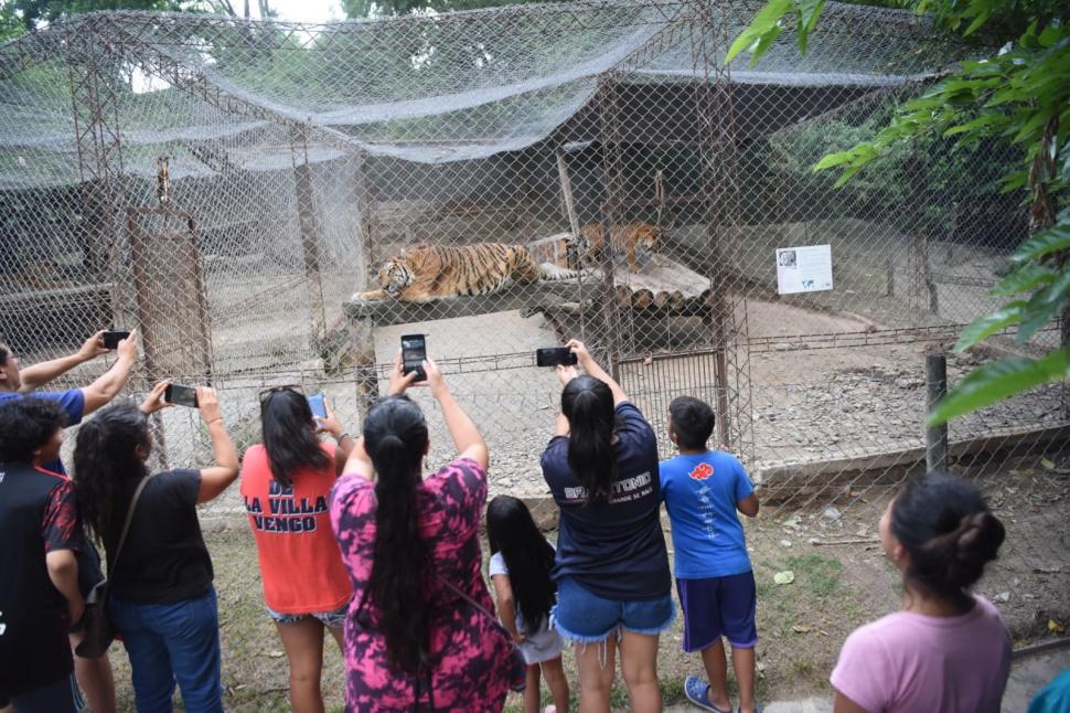 EN JAULAS. La reserva también cuenta con trigres de bengala.