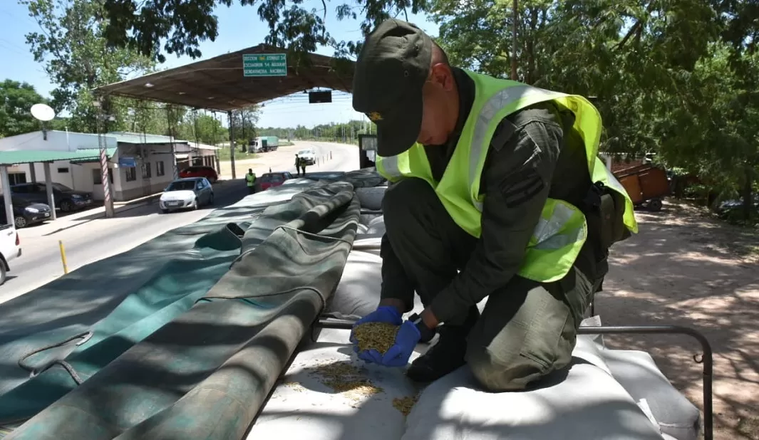 Secuestran 127 toneladas de granos y cereales en el Norte del país