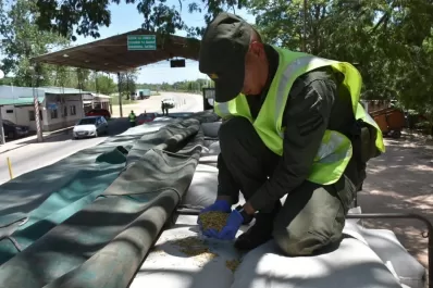 Secuestran 127 toneladas de granos y cereales en el Norte del país