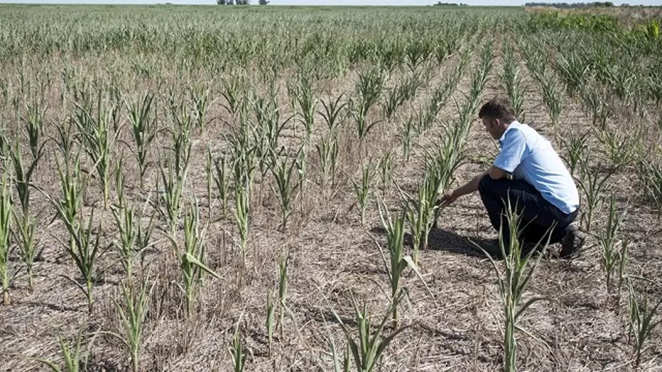 Unas 175 millones de hectáreas claman por agua