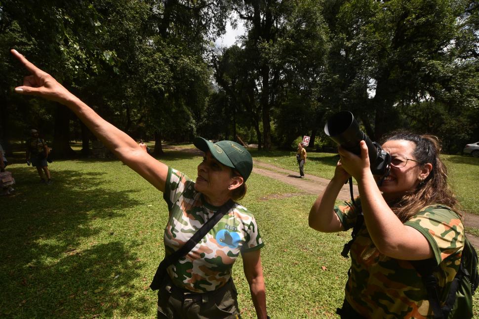 El arte de avistar aves: cómo disfrutarlo en Tucumán