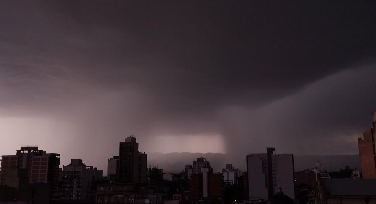 Foto tomada de Twitter @damianmiroli