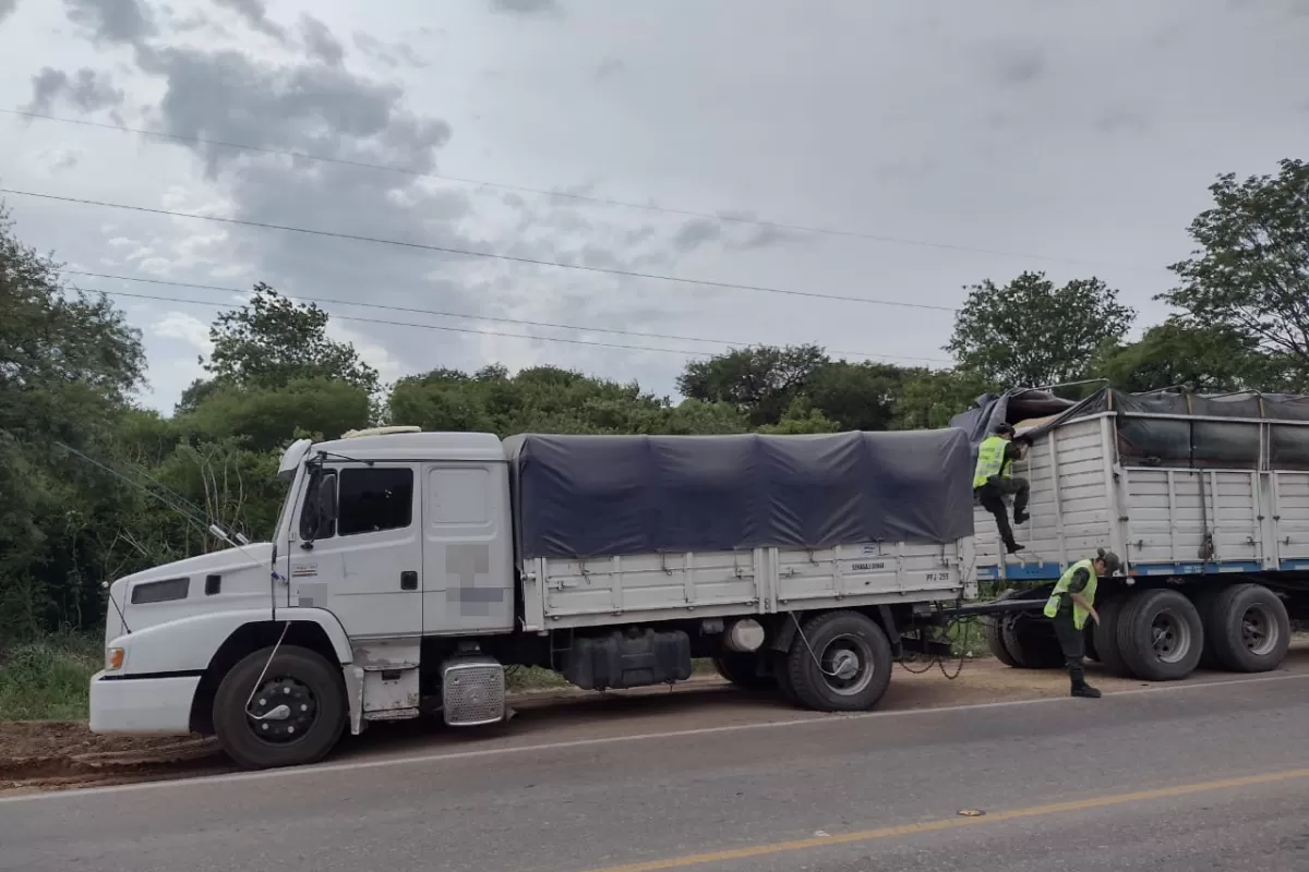 Decomisan 217 toneladas de granos y 97 toneladas de cereales que eran transportados ilegalmente
