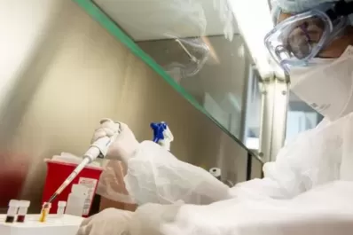 Coronavirus en Argentina: los casos bajaron un 55% en la última semana