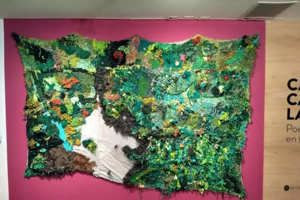 La belleza de las yungas y sus heridas, en una obra premiada por Cultura de la Nación