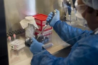 Brote de neumonía: en la clínica esperan el resultado del análisis