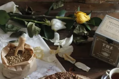 Cinco recetas de snacks para llevar encima