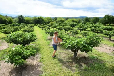 Higos Felices: dónde está y cómo funciona el emprendimiento familiar que te invita a pasar un día diferente
