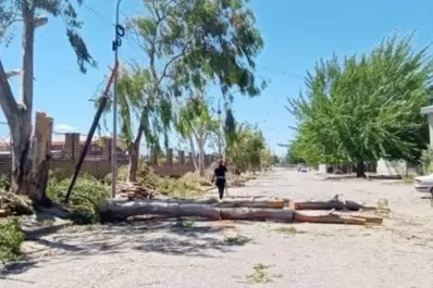 Río Negro: salió a andar en bicicleta, y se le cayó una gran rama encima, que lo mató