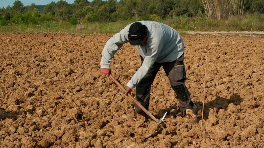 Chile: declararon estado de catástrofe por los incendios