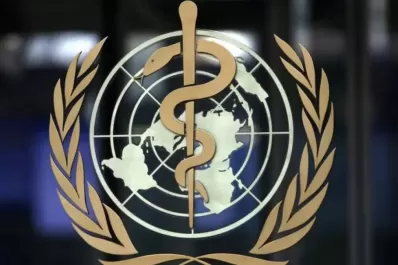 La OMS alertó del aumento de los casos de cólera en África