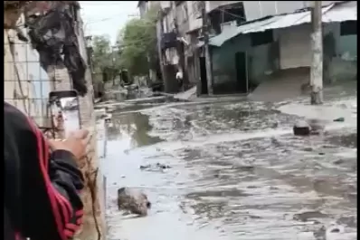 Lluvias, tragedias, crecientes y yacarés en las calles de Río de Janeiro