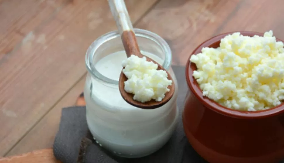 ALIMENTO BENEFICIOSO. El kéfir lácteo se elabora a partir de la fermentación de sus granulos en leche.  