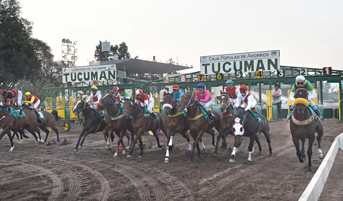 Turf: para una carrera exitosa los “starters” no pueden fallar