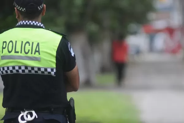 Allanaron una vivienda en busca de joyas robadas y encontraron plantas de marihuana
