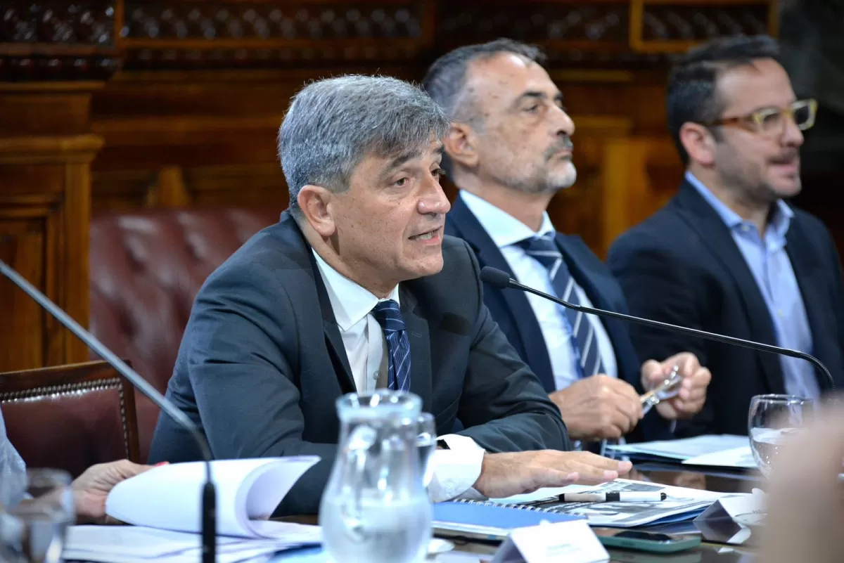 PABLO YEDLIN, EN la reunión de la comisión de Salud. 