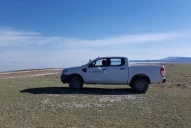 Detectaron un segundo caso de influenza aviar en el país