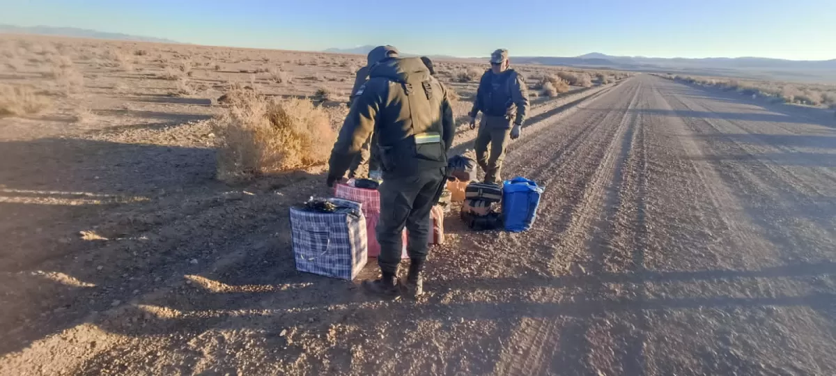 Secuestraron 128 kilos de hojas de coca