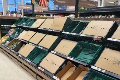 Cambio climático: ¿Por qué escasean los tomates en Reino Unido?