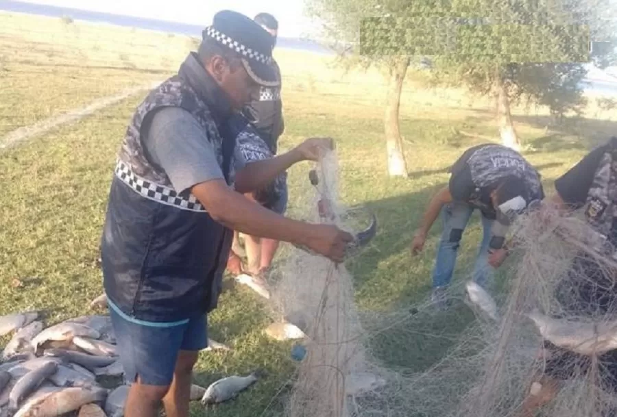 Pesca furtiva: Incautan decenas de peces