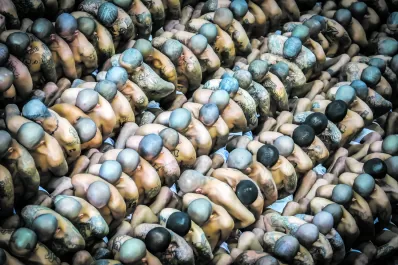 La dura respuesta de Bukele a las críticas de EE.UU a su polémica política de seguridad