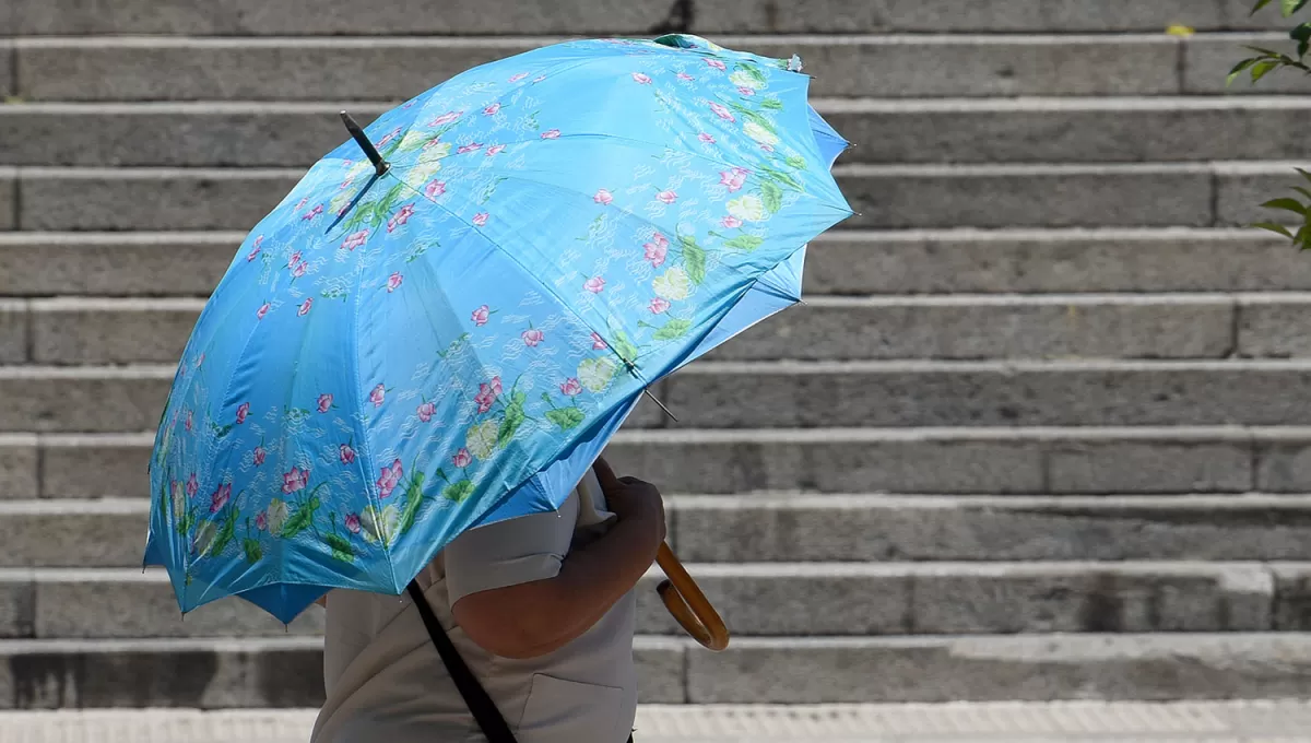 ARCHIVO LA GACETA / FOTO DE JOSÉ NUNO   